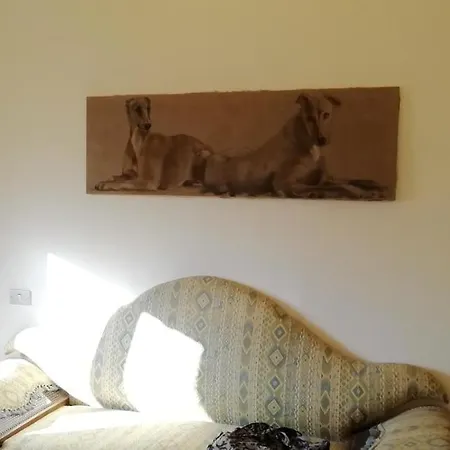 Apartamento Bilocale Geranio Marcelli